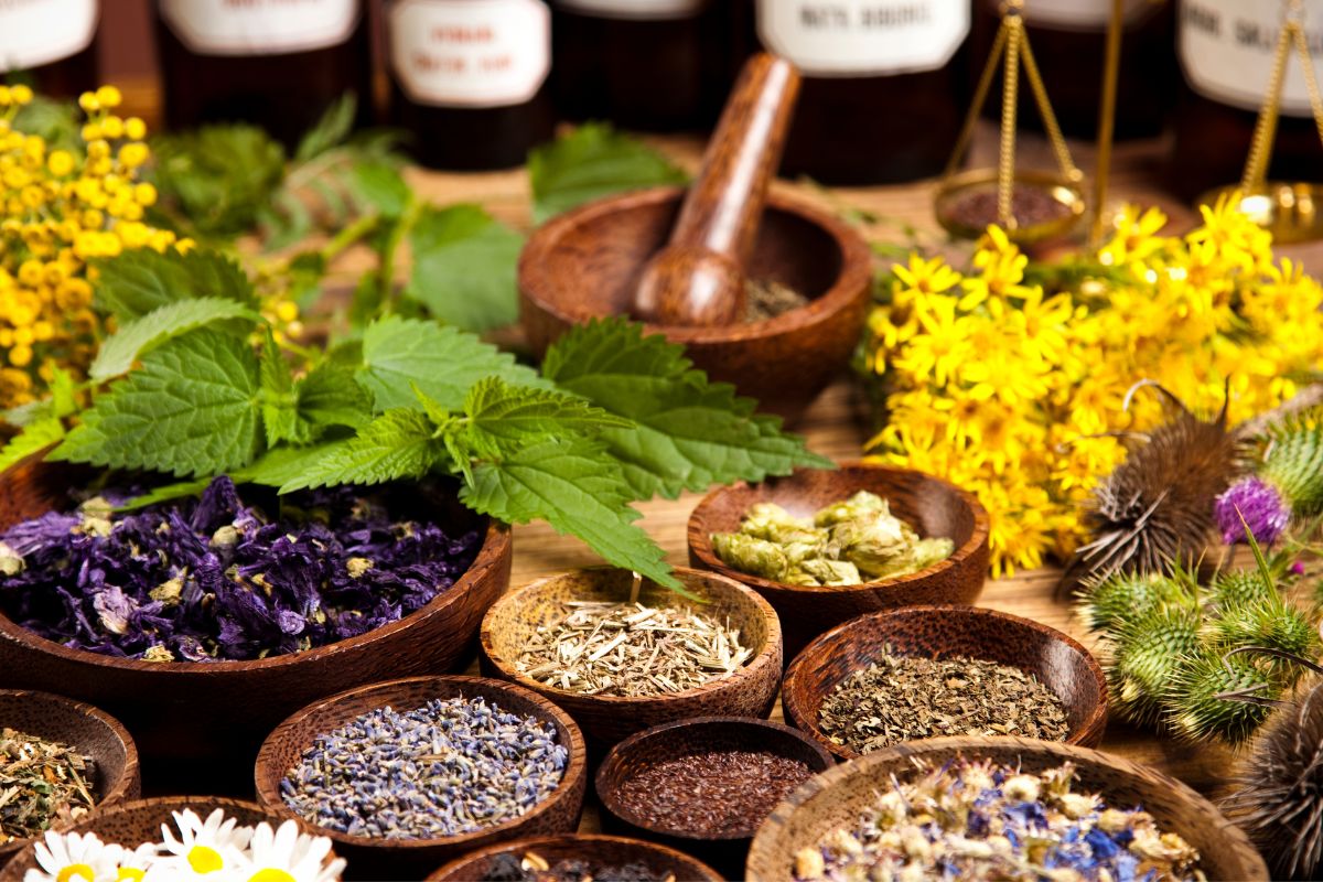 Top 7 Medicinal Plants You Can Grow at Home in the UAE