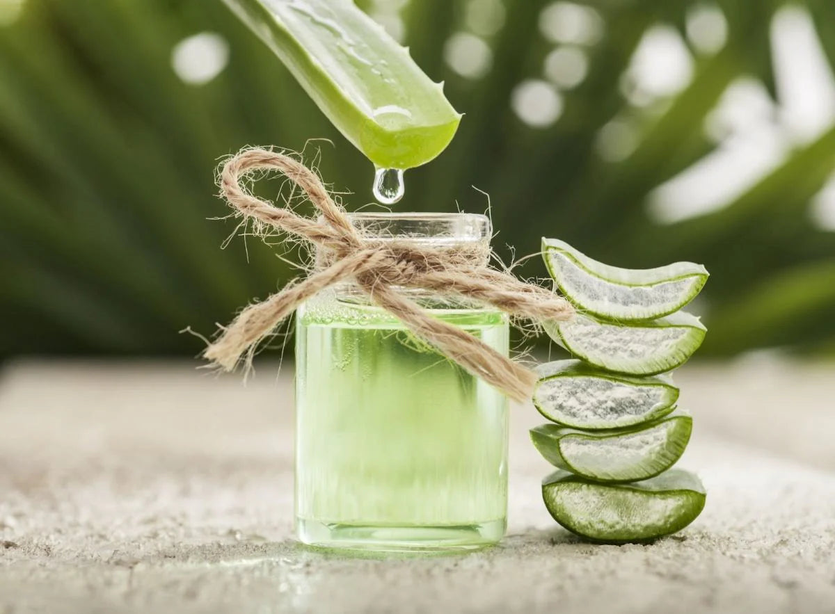 Aloe Vera and hair care routine
