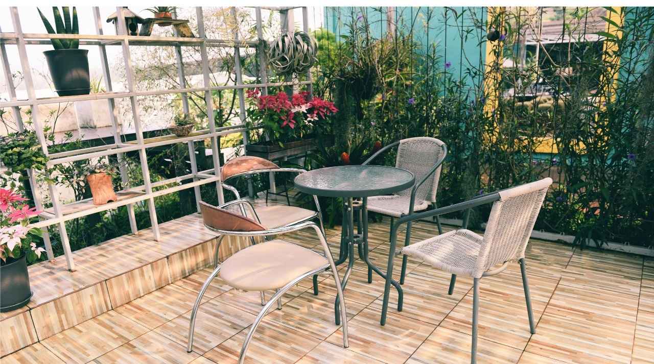 7 Indoor Plants That Are Almost Impossible To Kill