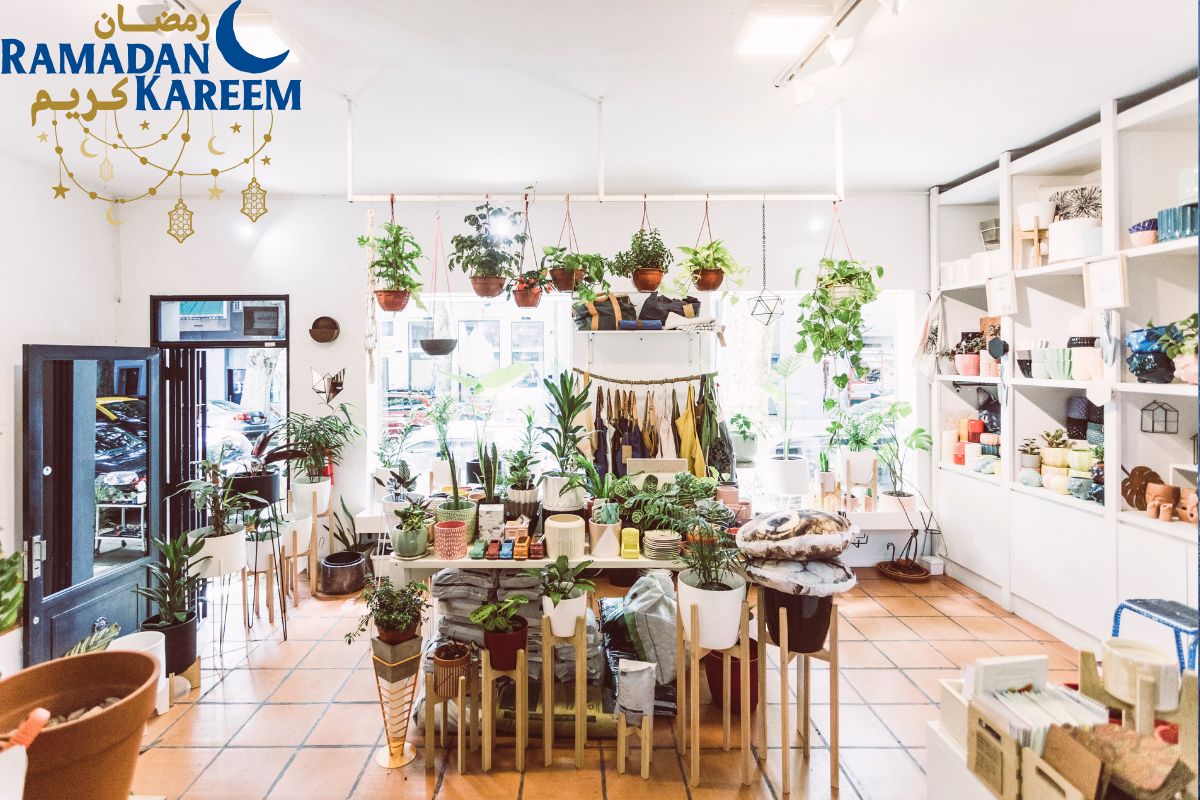 Prosperity & Blessings: How To Nurture Your Money Plant During Ramadan