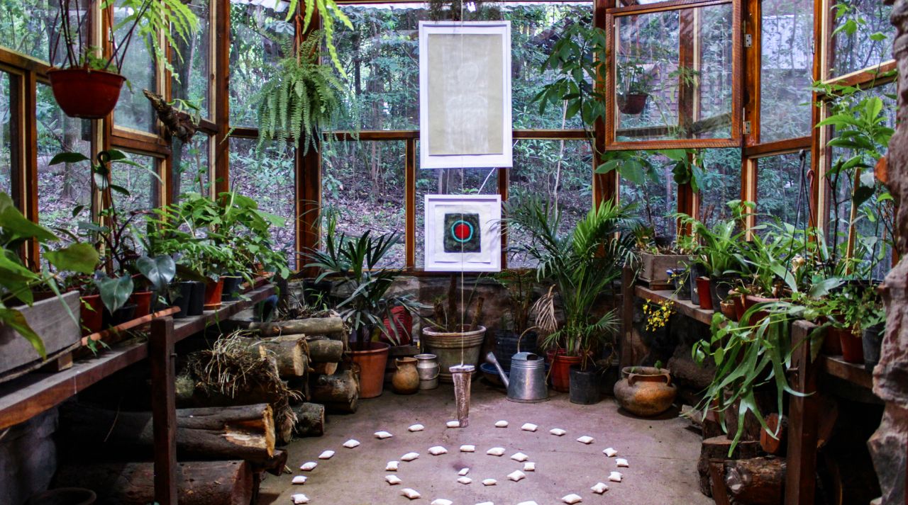 Tap Water Vs. Filtered Water: What’s Best For Spider Plants In The UAE?