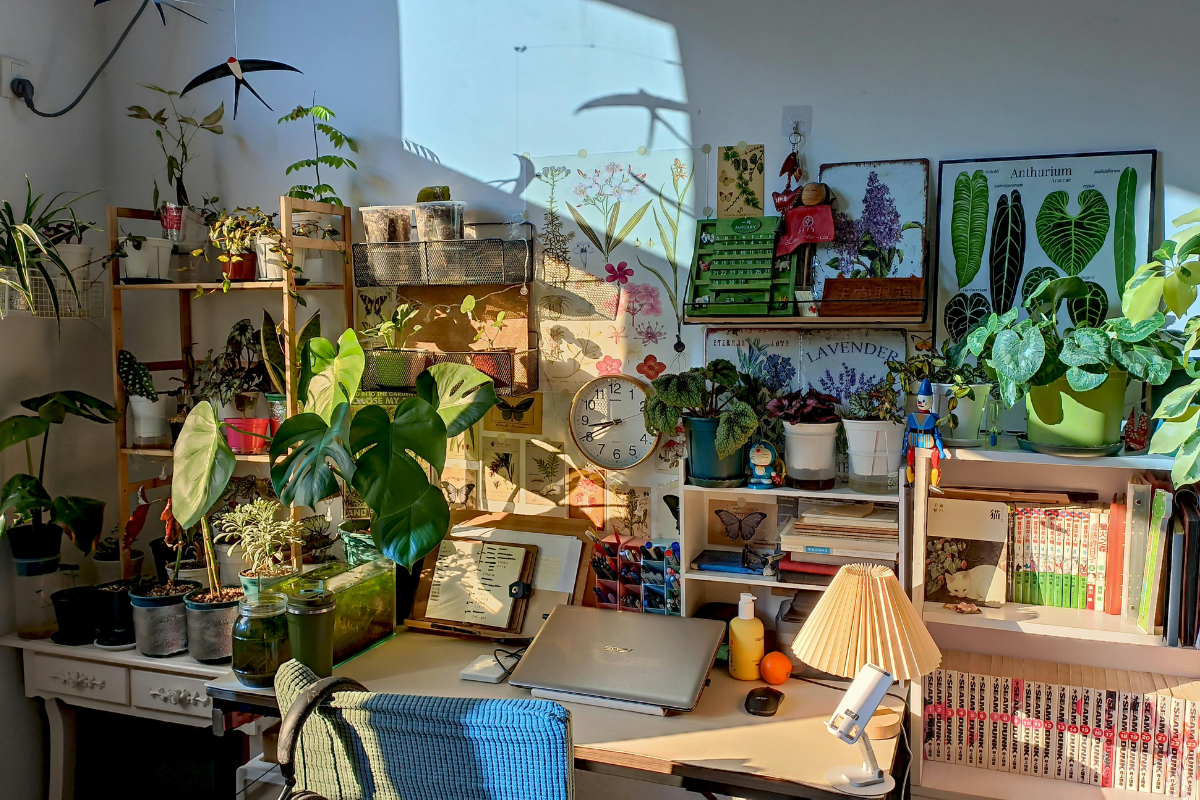 Myth-Busting Polka Dot Plant Care: 10 tips you can ignore (and 10 that matter)