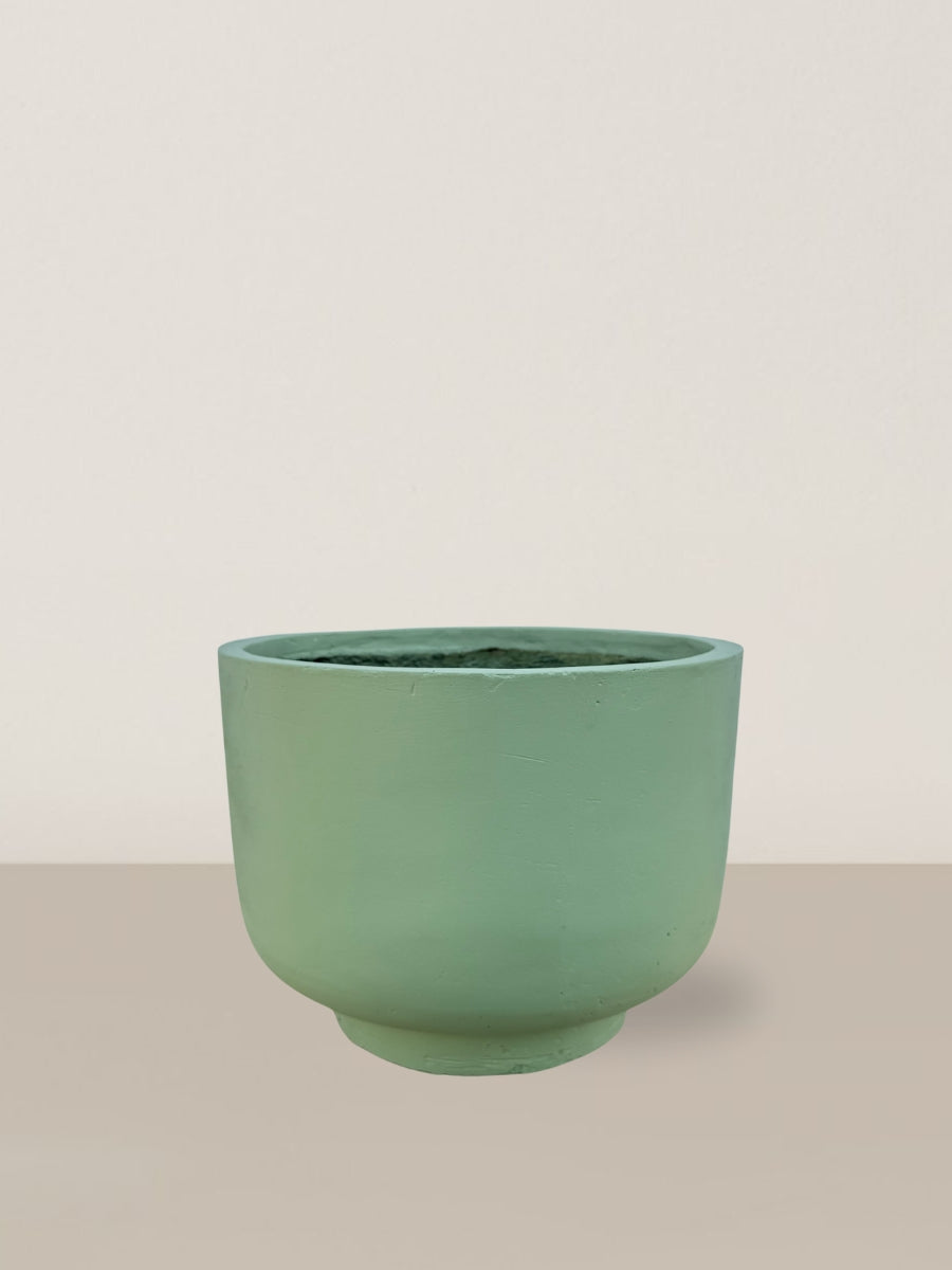 Cassandra | Leaf Green