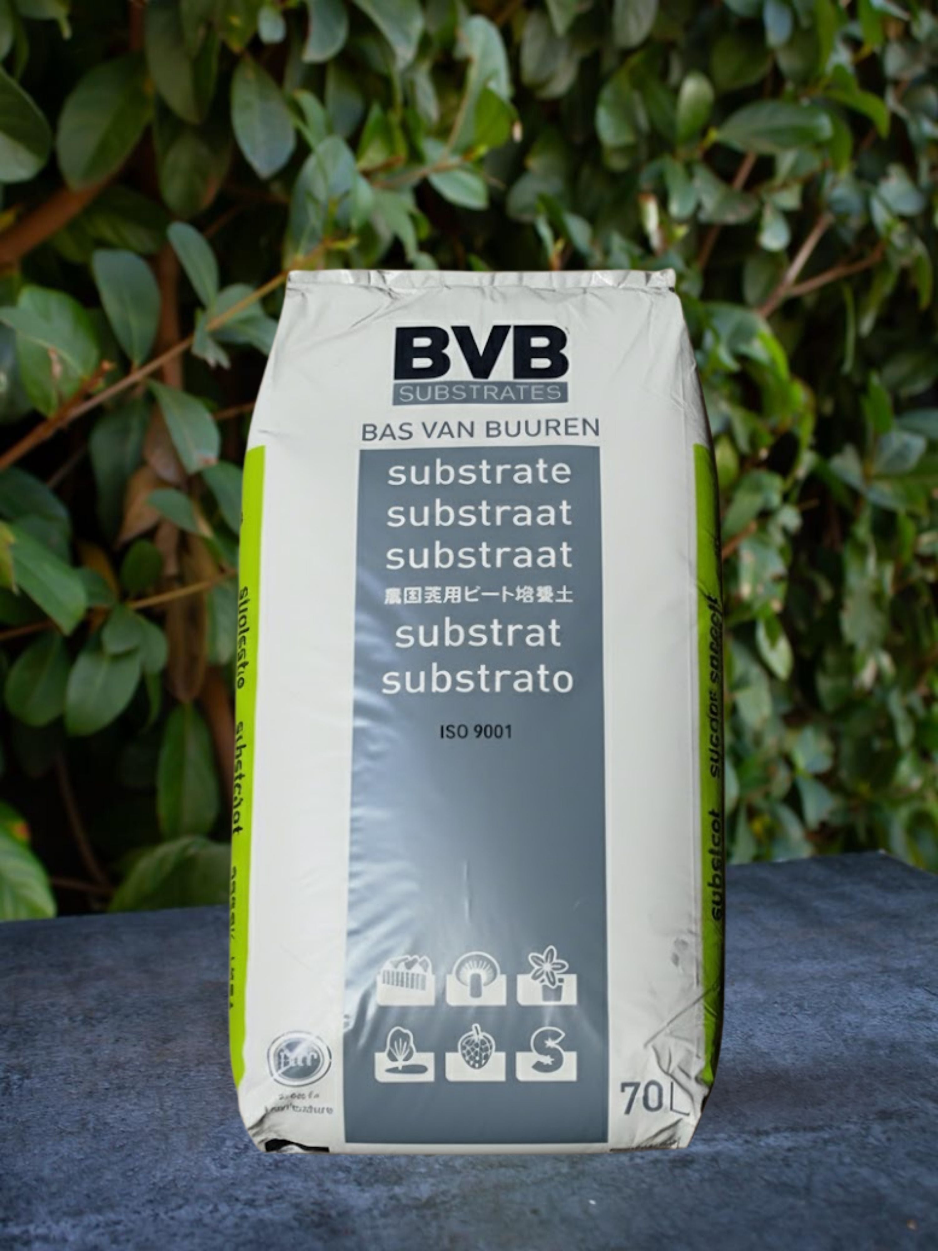 BVB Peat Moss Potting Soil | 70 Litres