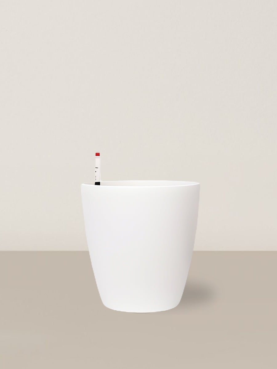 Self-watering Ava | White