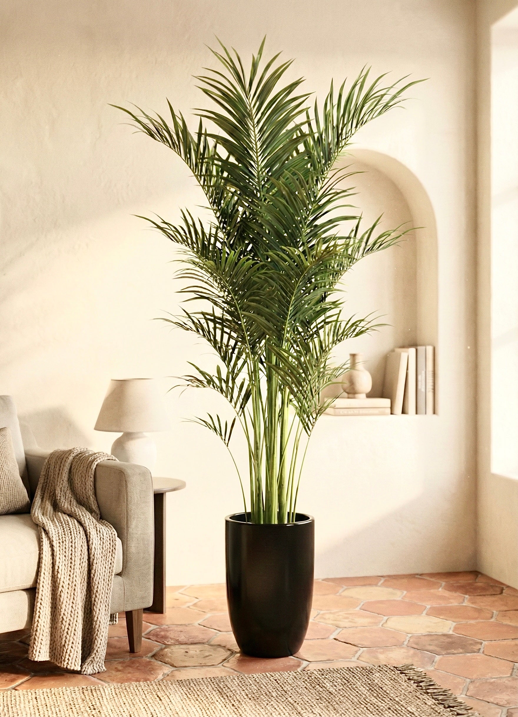 Bamboo Palm