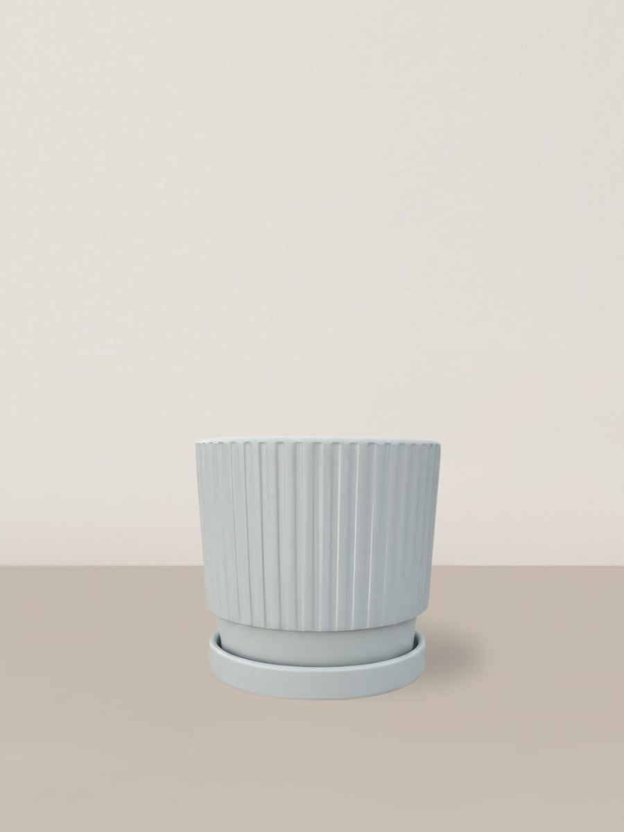 Carina | Pastel Blue