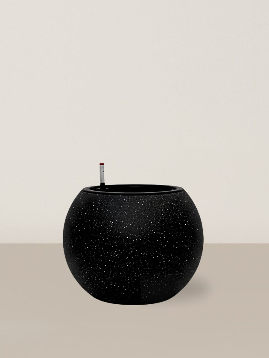 Self-watering Daisy | Black