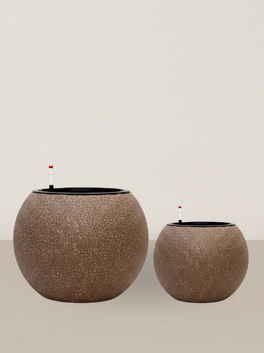 Daisy | Self-watering