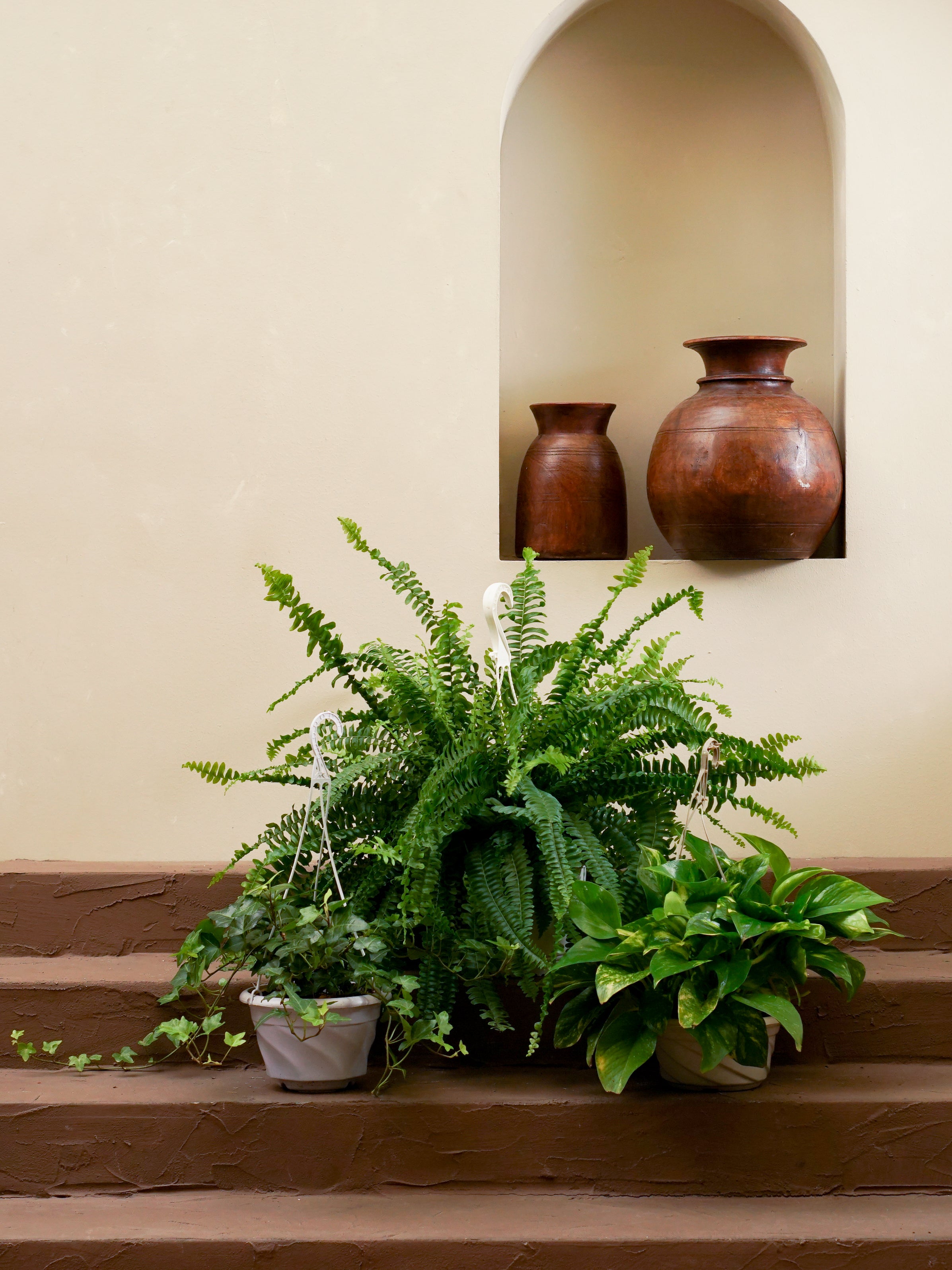 Hanging Greens