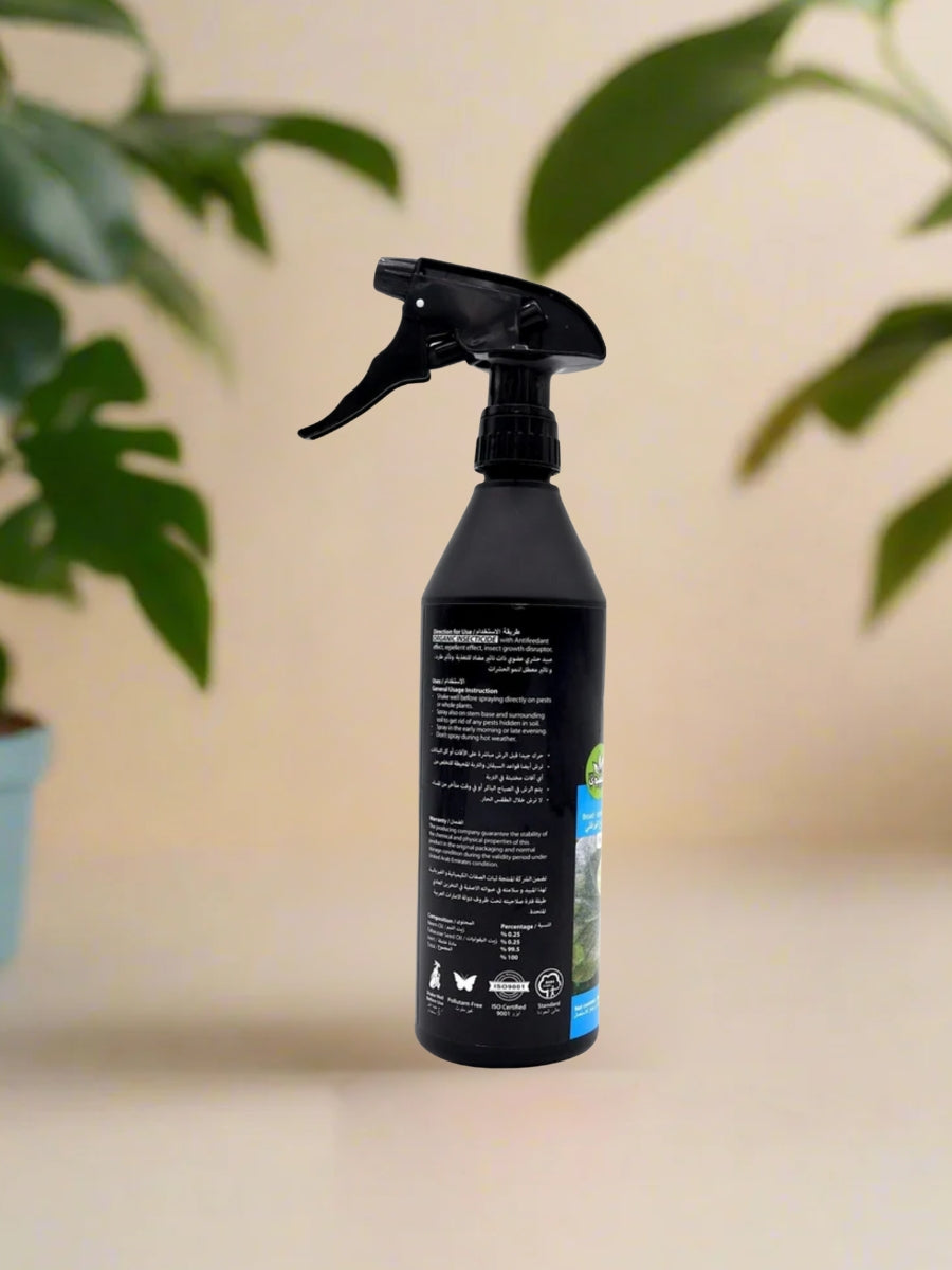 Mr. Ganick | Dr. Neem