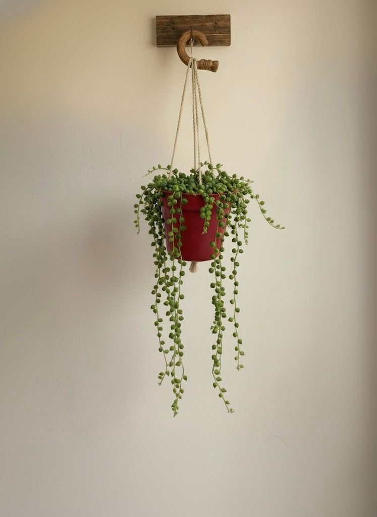 String of Pearls