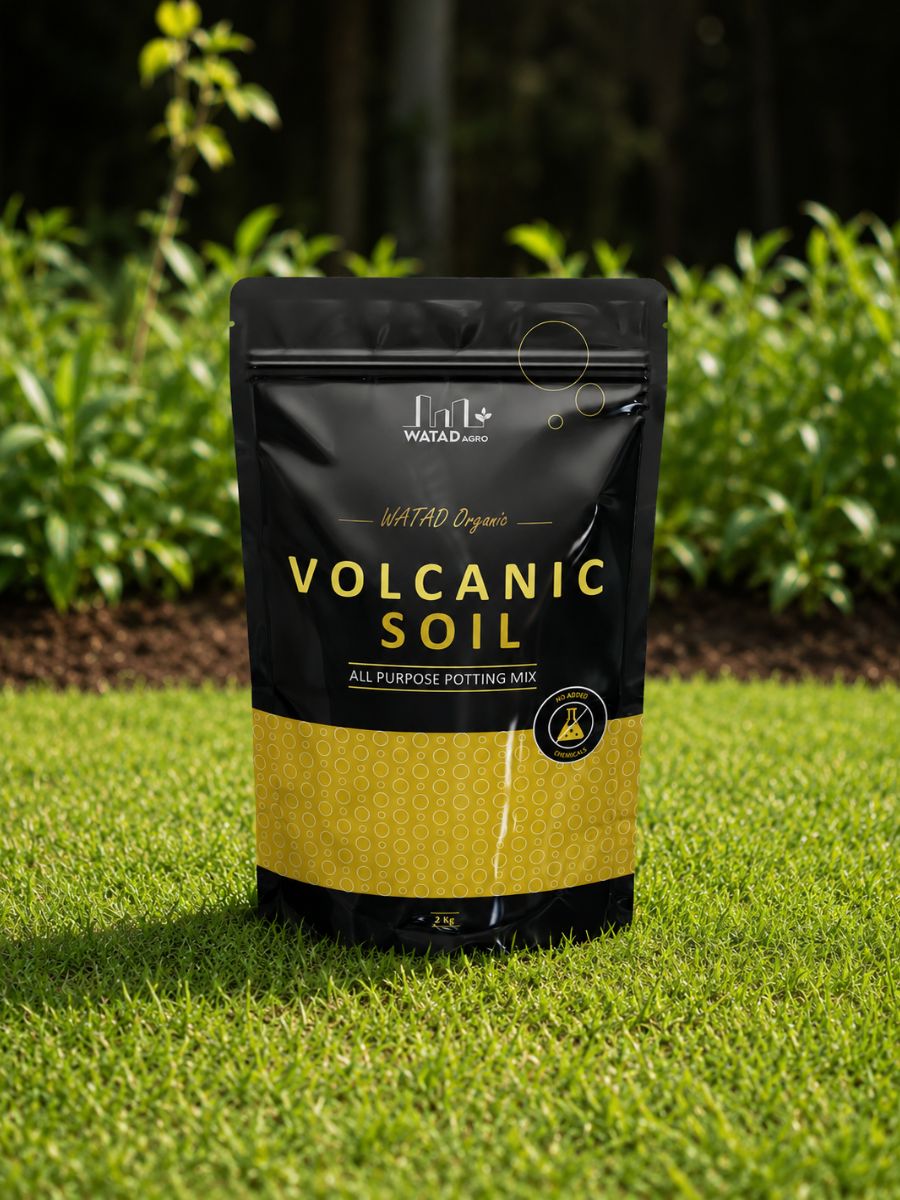 Watad Organic Volcanic Soil