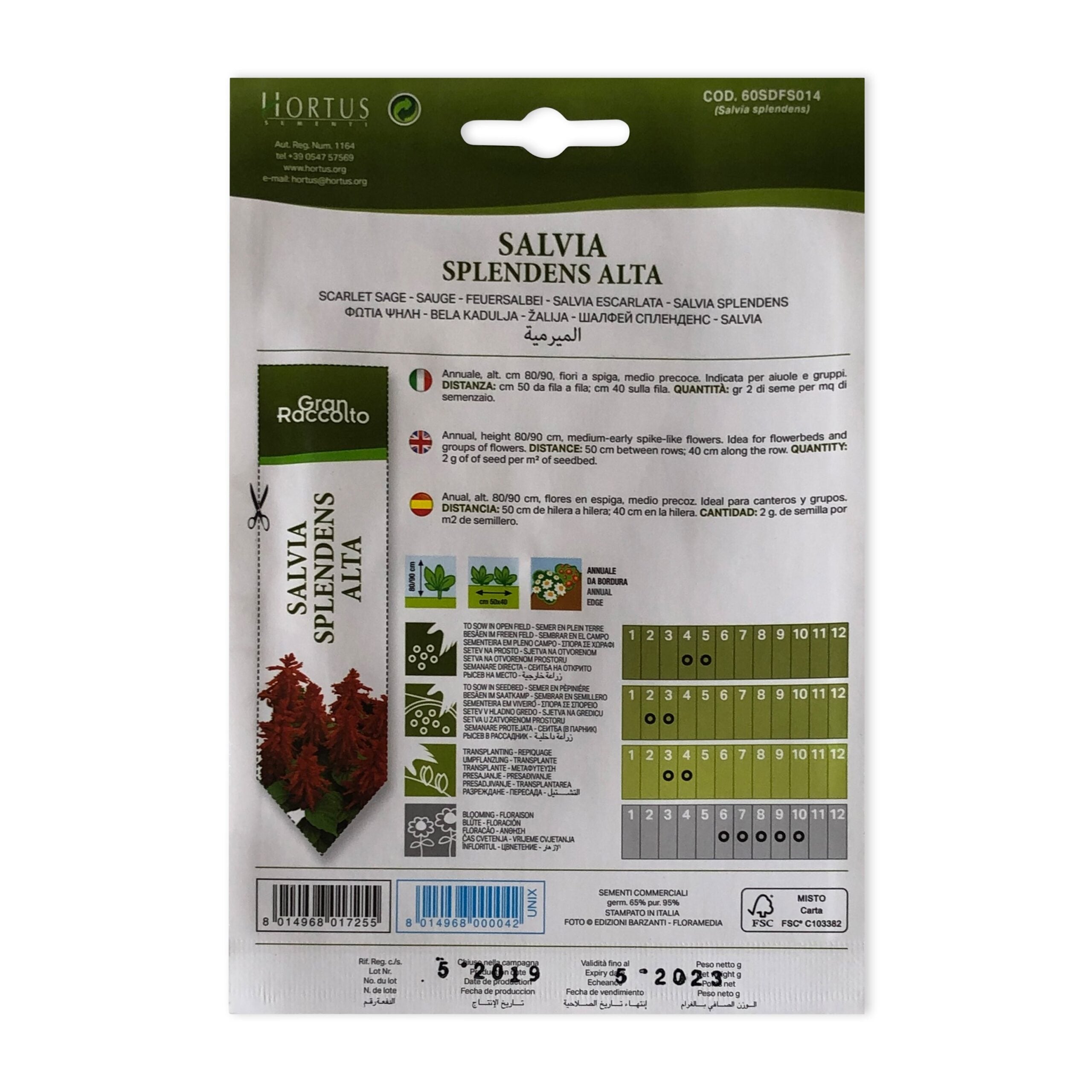 Scarlet Sage | Seeds