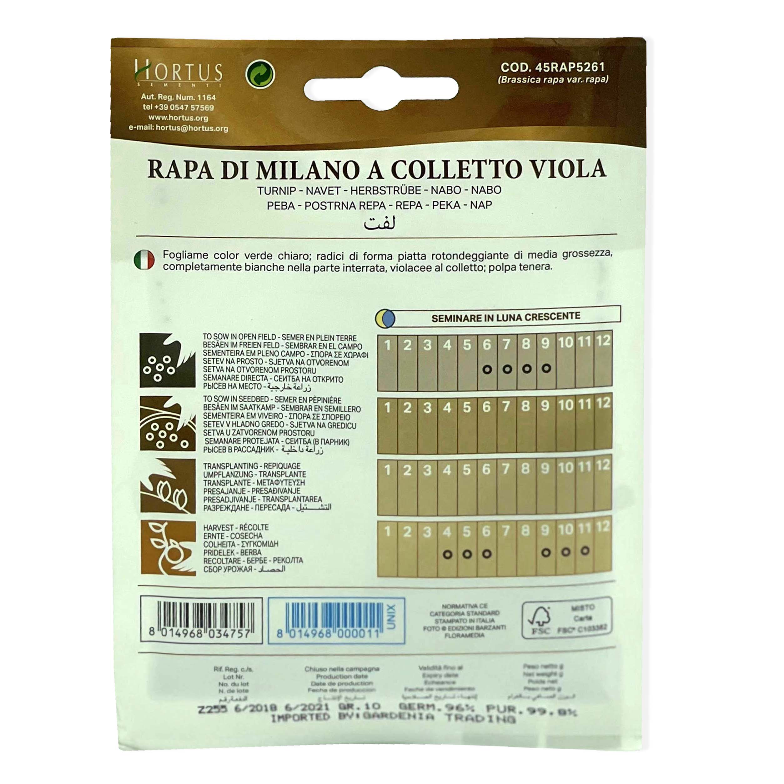 Turnip - Rapa Vegetable Seeds