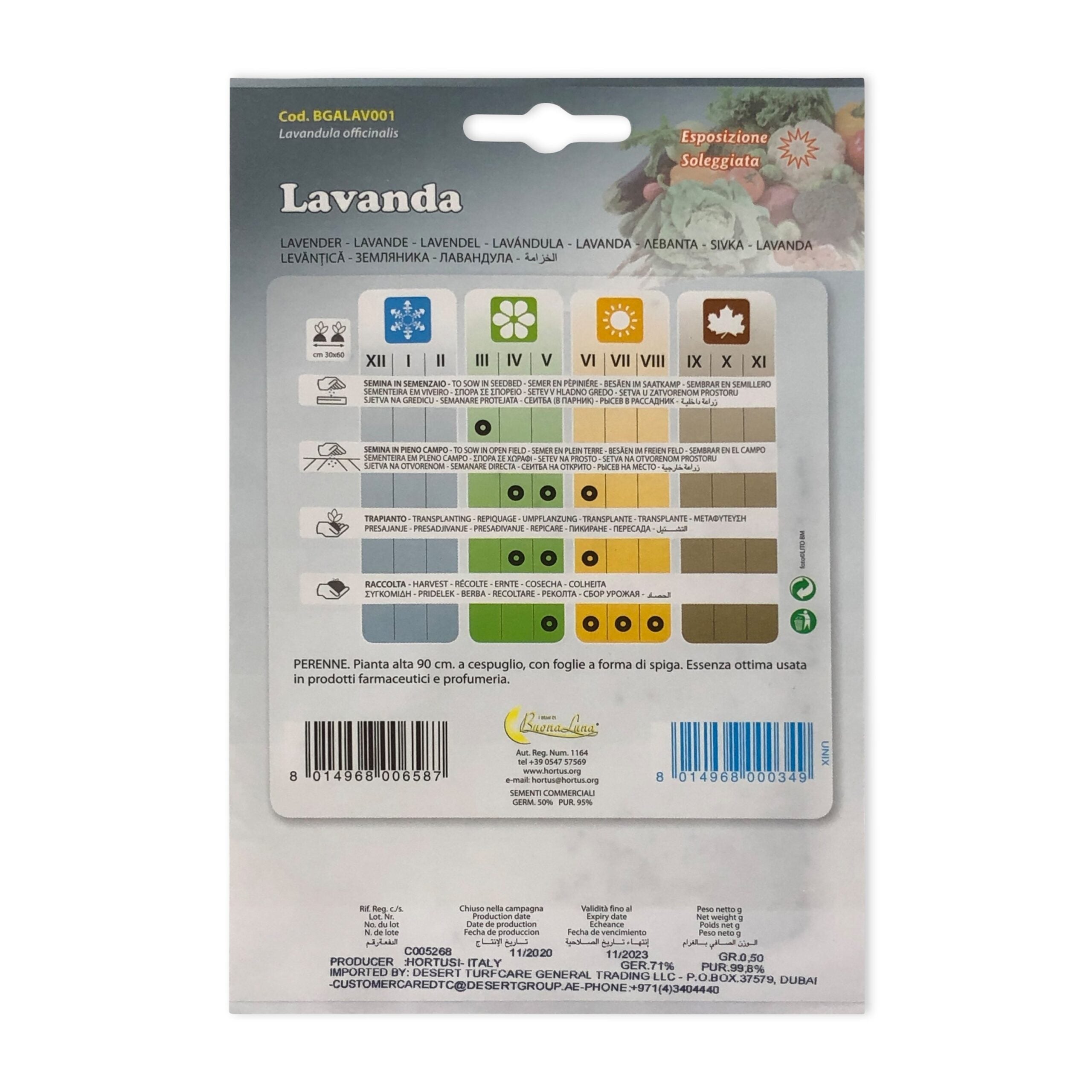 Lavender | Seeds