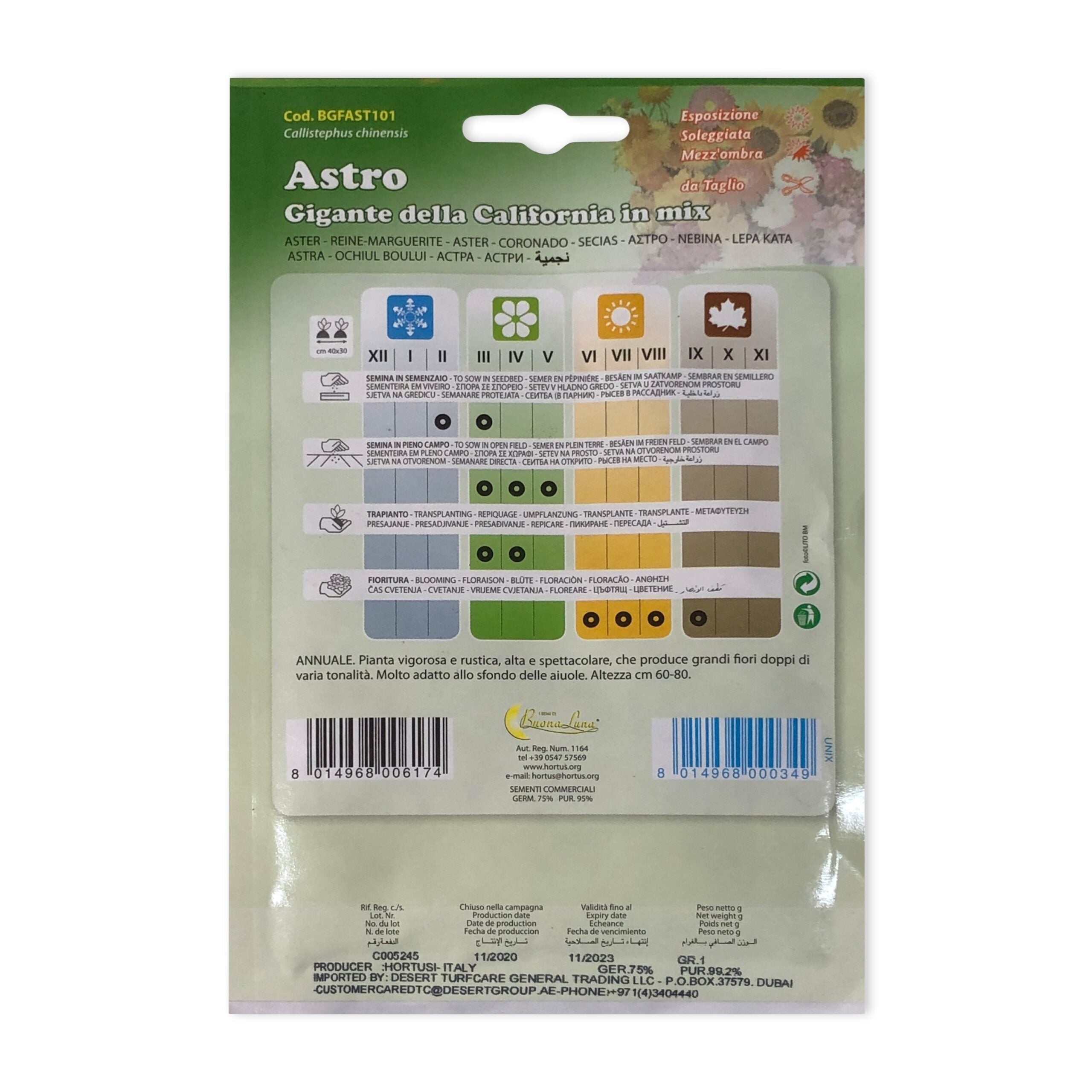 Giant Aster | Seeds
