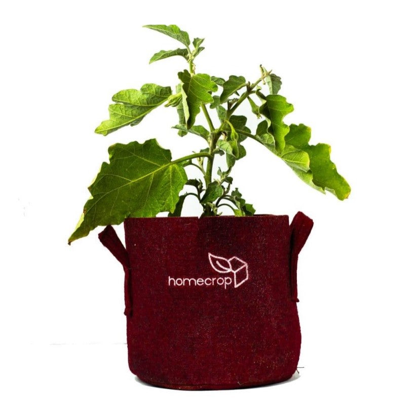 Fabric Grow Bags