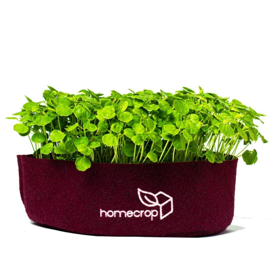Fabric Grow Bags