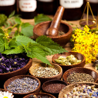 Top 7 Medicinal Plants You Can Grow at Home in the UAE