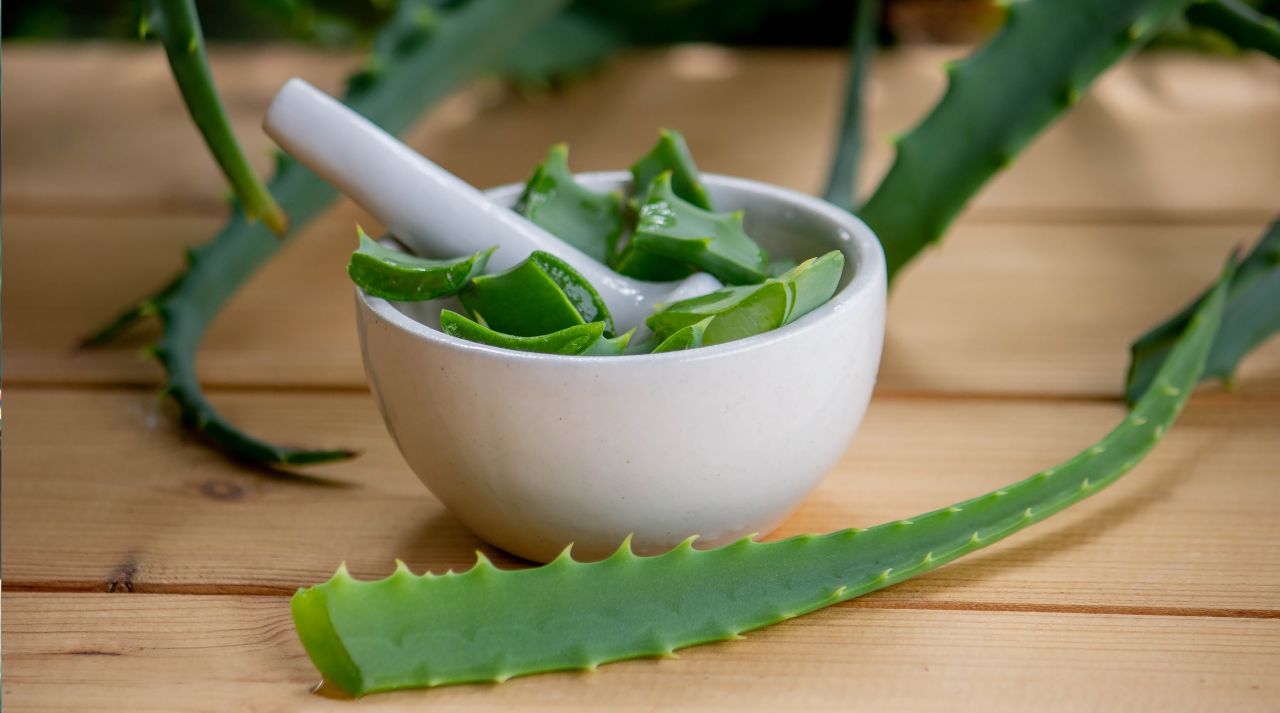 Aloe Vera Anti-Inflammatory Properties — How They Help Prickly Heat