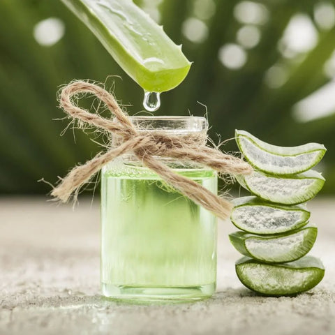 Aloe Vera And Hair Care: Boosting Your Hair Health Naturally
