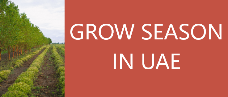 GROW SEASON IN UAE