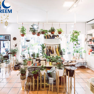 Prosperity & Blessings: How To Nurture Your Money Plant During Ramadan