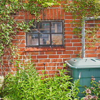 The Benefits Of Using Rainwater For Your Peace Lily