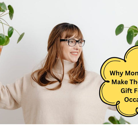 Why Money Plants Make The Perfect Gift For Any Occasion