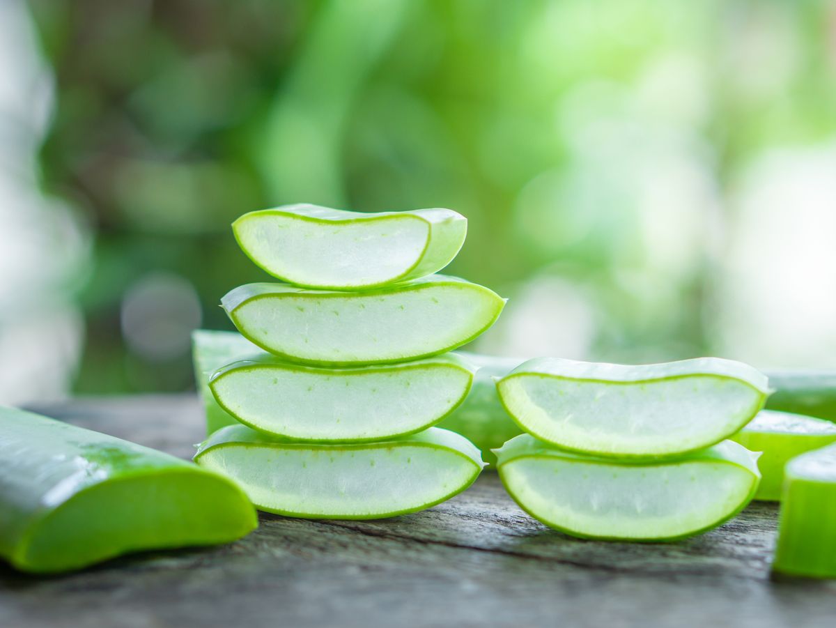 Using Aloe Vera To Treat Common Household Burns And Cuts