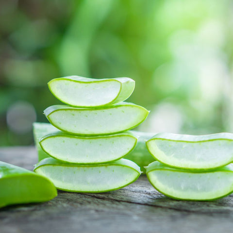 Aloe Vera Uses In Hair Care: Strengthen, Hydrate, And Promote Growth