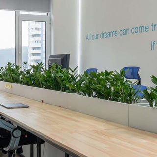 commercialofficedecor