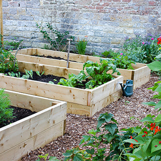 DIY your meditation garden at home￼