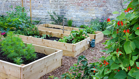 DIY your meditation garden at home￼