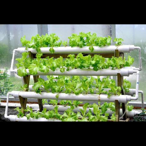 Hydroponics gardening at home