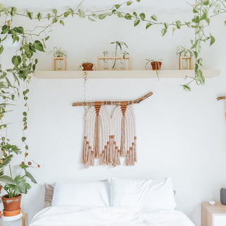 Tips For Moving Your Indoor Plants To A New Home In Summer