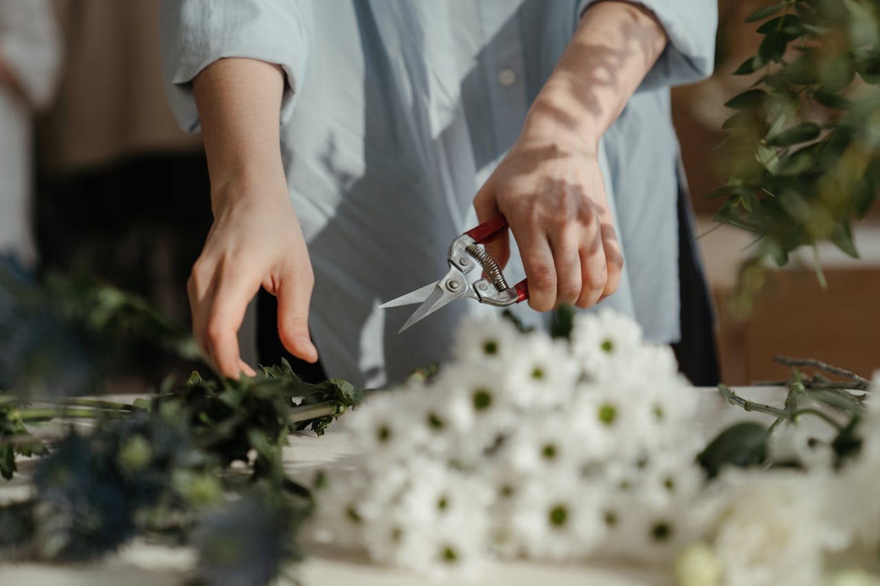 A Little Pruning Will Whittle Away Indoor Plants Woes