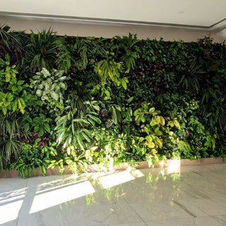 Are You Making These 7 Common Indoor Plant Mistakes?