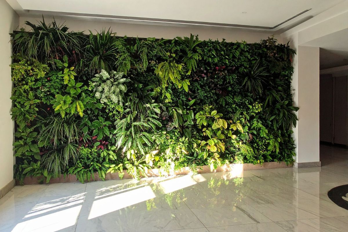 Are You Making These 7 Common Indoor Plant Mistakes?