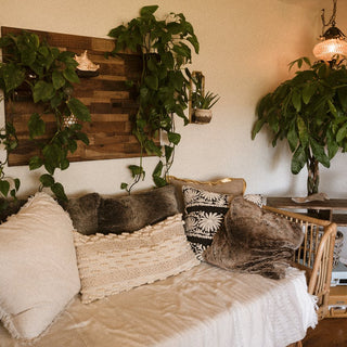 Which Indoor Plants Are Easy To Take Care Of - The Ultimate Guide