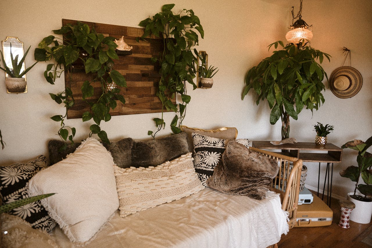Which Indoor Plants Are Easy To Take Care Of - The Ultimate Guide