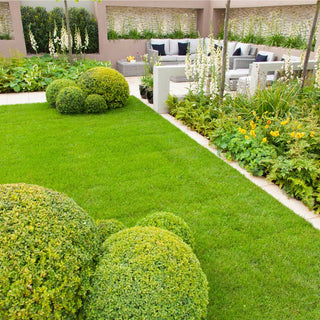 Easy DIY Landscaping Projects to Beautify Your Outdoor Space