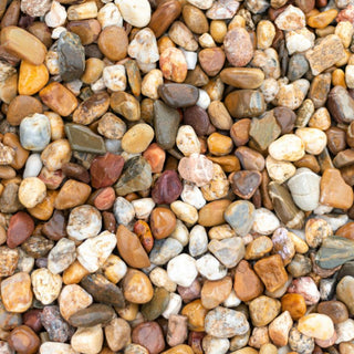 How to Clean and Reuse Plant Pebbles at Home