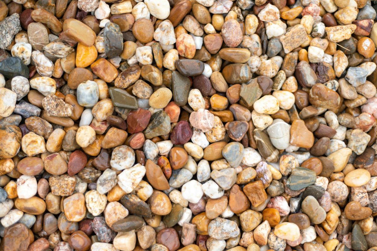 How to Clean and Reuse Plant Pebbles at Home