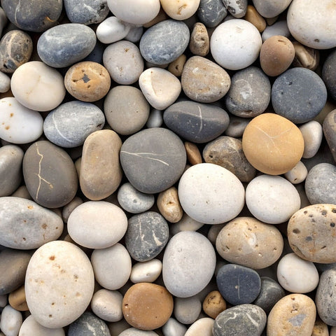 5 Common Mistakes When Using Pebbles for Plant Care