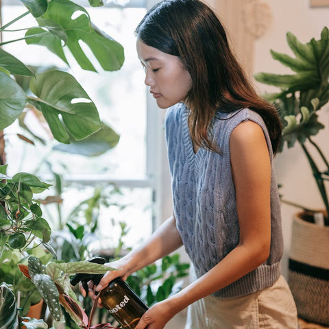 How To Use Indoor Plants To Decorate Your Child’s Study Space
