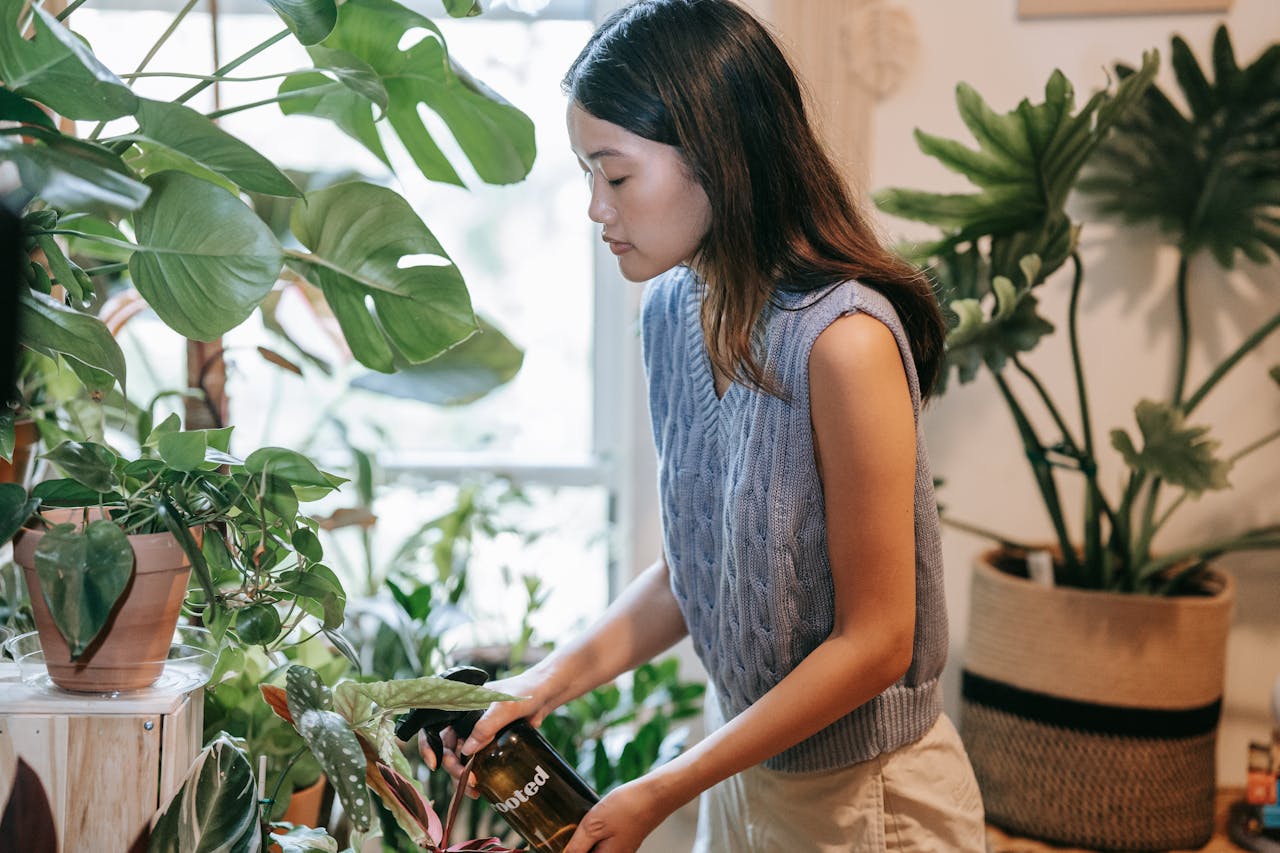 How To Use Indoor Plants To Decorate Your Child’s Study Space