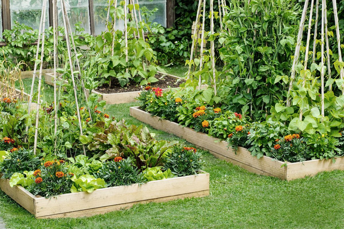 Raised Bed Gardening