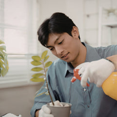 Simple Tricks to Prevent Rare Indoor Plants From Dying